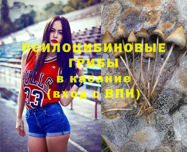 мяу мяу мука Медвежьегорск