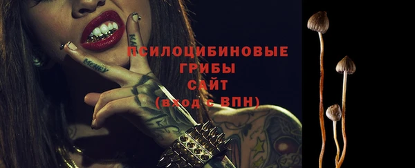 мяу мяу мука Медвежьегорск