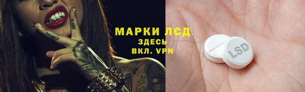 мяу мяу мука Медвежьегорск