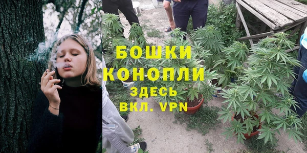 эйфоретик Медногорск
