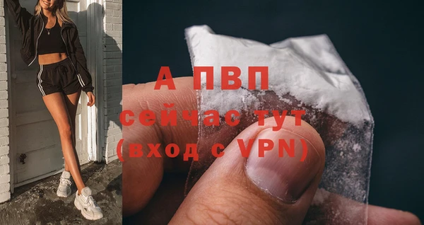 мяу мяу мука Медвежьегорск