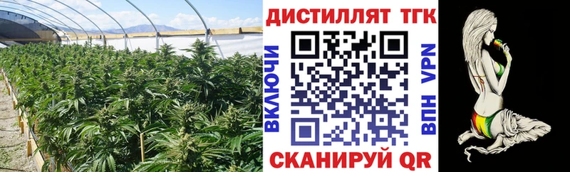 Купить закладки  Усинск  ТГК вейп 