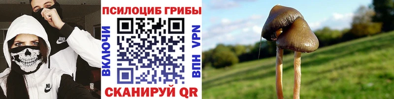 Купить где  Усинск  Псилоцибиновые грибы GOLDEN TEACHER 